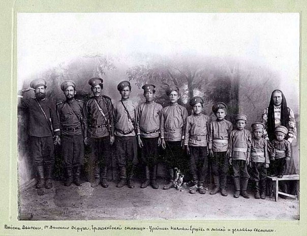 kozaci