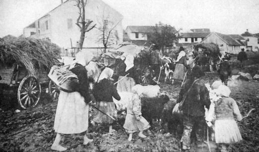 Srp izb 1914