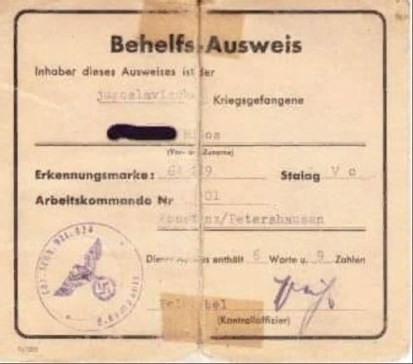 ausvajs brnabic