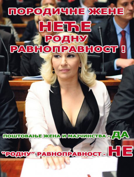 porodicne-zene-nece-rodnu-ravnopravnost