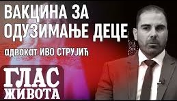 ivo strujic