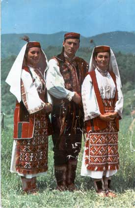 nosnjamk8vrlika