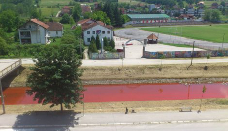 gornji-milanovac02-pocrvenela-despotovica f