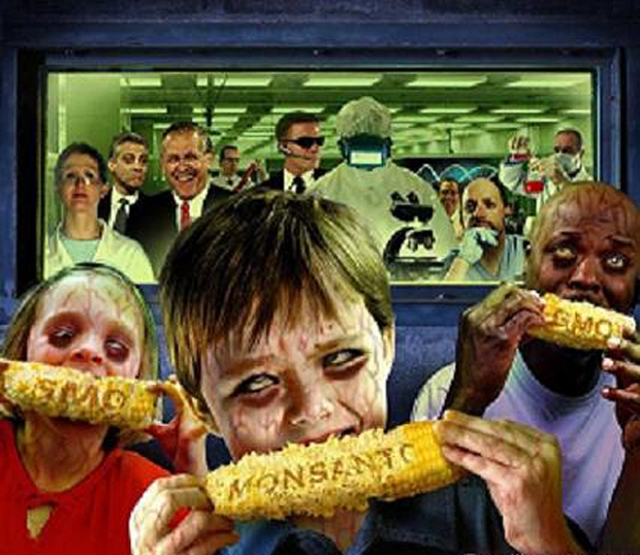 gmo-cause-cancer