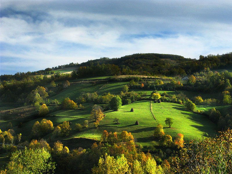 sumadija
