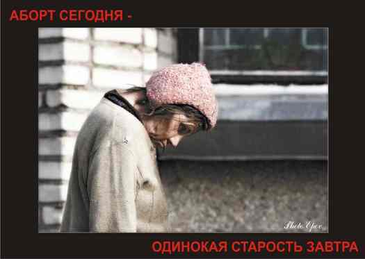 abortus5
