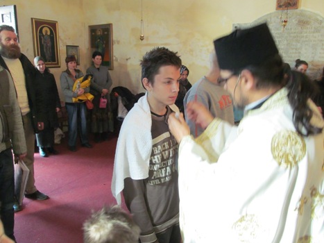 tomici (7)