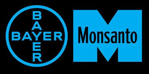 monsanto